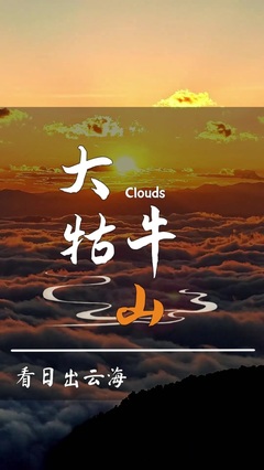 云南盛旭国际旅行社有限责任公司