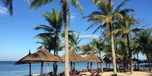 广州国际旅行社 直飞越南，感受越式风情，配华南地区联运